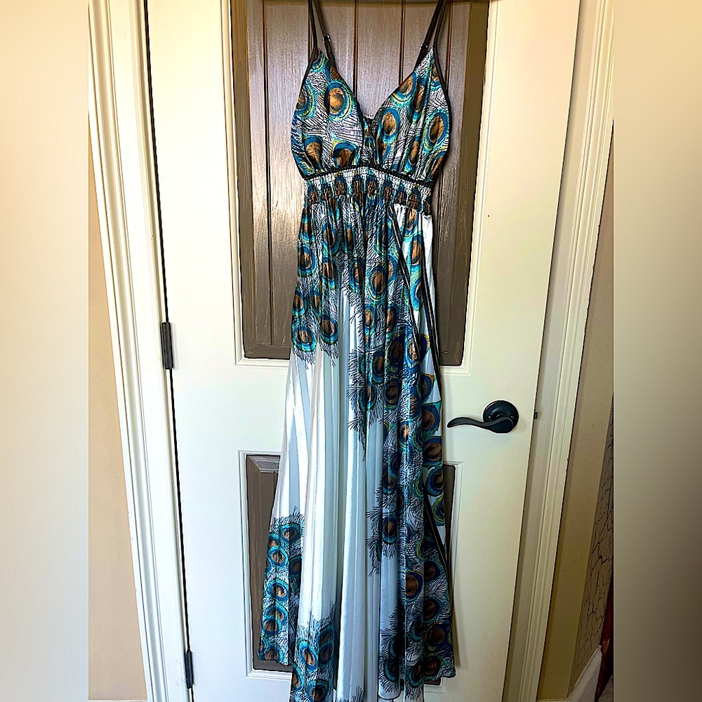 Step in Style Peacock Dress